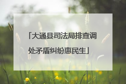 大通县司法局排查调处矛盾纠纷惠民生