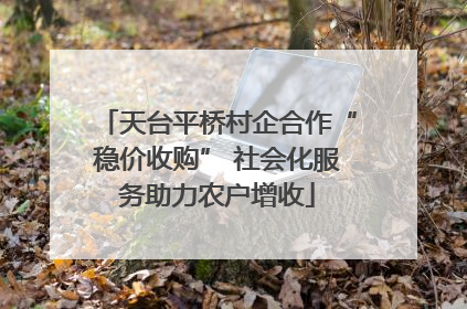 天台平桥村企合作“稳价收购” 社会化服务助力农户增收