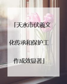 天水市伏羲文化传承和保护工作成效显著