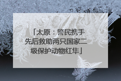 太原：警民携手 先后救助两只国家二级保护动物红隼