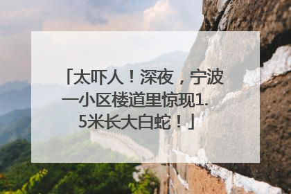 太吓人！深夜，宁波一小区楼道里惊现1.5米长大白蛇！