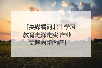 央媒看河北丨学习教育走深走实 产业集群向新向好