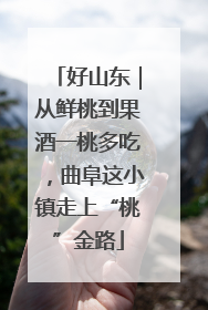 好山东｜从鲜桃到果酒一桃多吃，曲阜这小镇走上“桃”金路