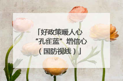 好政策暖人心 “孔雀蓝”增信心(国防视线)