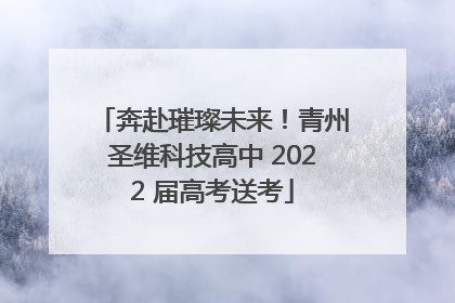 奔赴璀璨未来！青州圣维科技高中 2022 届高考送考