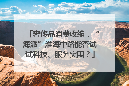 奢侈品消费收缩，“海派”淮海中路能否试试科技、服务突围？