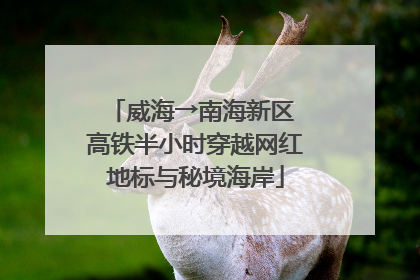 威海→南海新区 高铁半小时穿越网红地标与秘境海岸