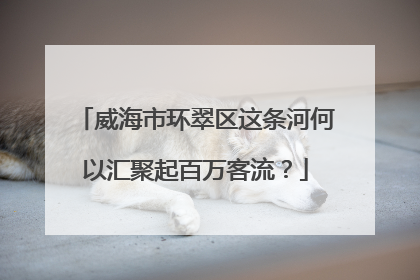 威海市环翠区这条河何以汇聚起百万客流？