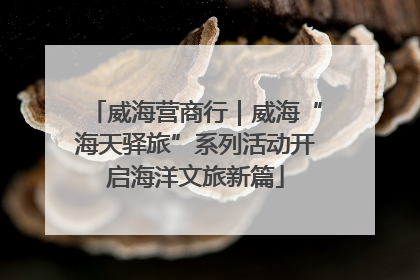 威海营商行｜威海“海天驿旅”系列活动开启海洋文旅新篇