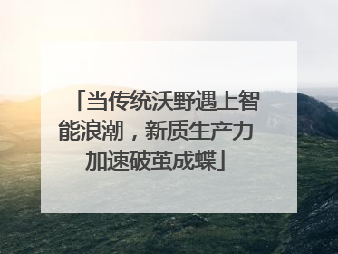 当传统沃野遇上智能浪潮，新质生产力加速破茧成蝶