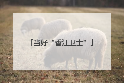 当好“香江卫士”