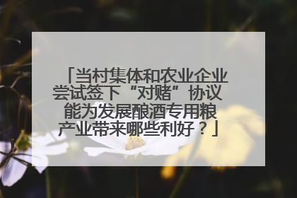 当村集体和农业企业尝试签下“对赌”协议 能为发展酿酒专用粮产业带来哪些利好？