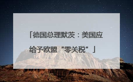 德国总理默茨：美国应给予欧盟“零关税”
