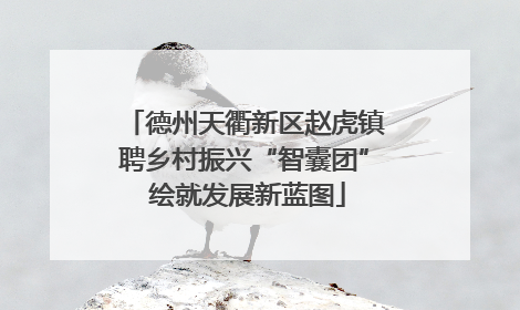 德州天衢新区赵虎镇聘乡村振兴“智囊团” 绘就发展新蓝图