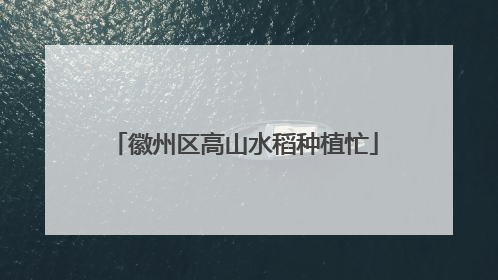 徽州区高山水稻种植忙
