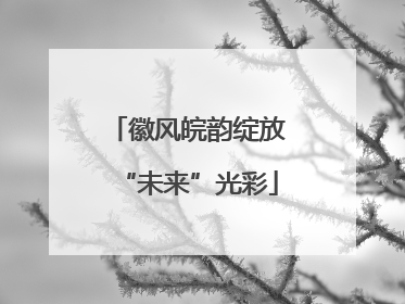 徽风皖韵绽放“未来”光彩