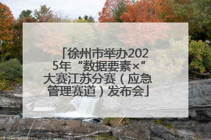徐州市举办2025年“数据要素×”大赛江苏分赛（应急管理赛道）发布会