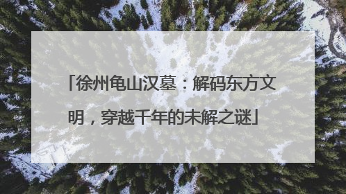 徐州龟山汉墓：解码东方文明，穿越千年的未解之谜