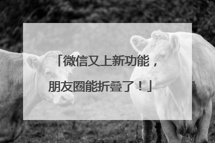 微信又上新功能，朋友圈能折叠了！