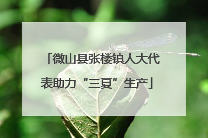 微山县张楼镇人大代表助力“三夏”生产