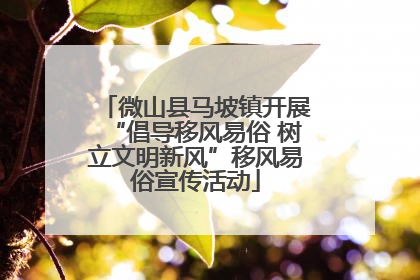 微山县马坡镇开展“倡导移风易俗 树立文明新风”移风易俗宣传活动