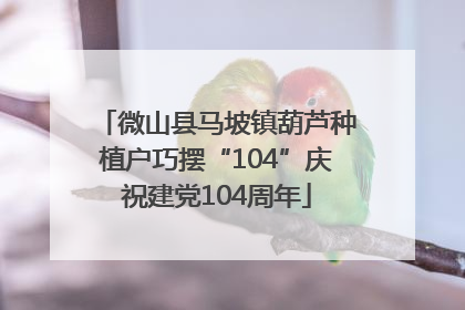 微山县马坡镇葫芦种植户巧摆“104”庆祝建党104周年