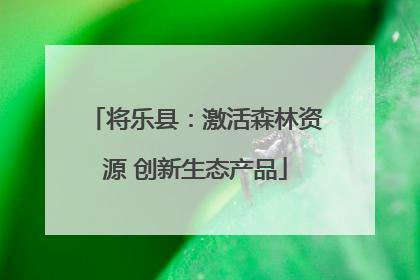 将乐县：激活森林资源 创新生态产品