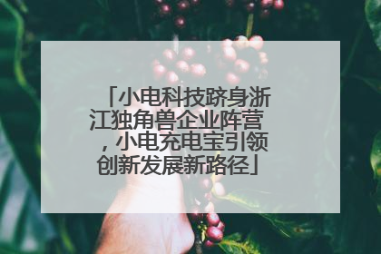 小电科技跻身浙江独角兽企业阵营，小电充电宝引领创新发展新路径