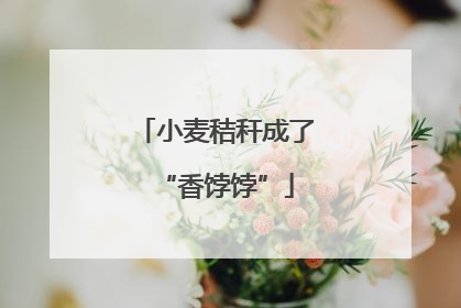 小麦秸秆成了“香饽饽”