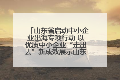 山东省启动中小企业出海专项行动 以优质中小企业“走出去”新成效展示山东产业发展新形象