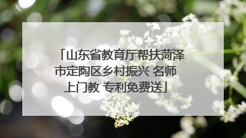 山东省教育厅帮扶菏泽市定陶区乡村振兴 名师上门教 专利免费送