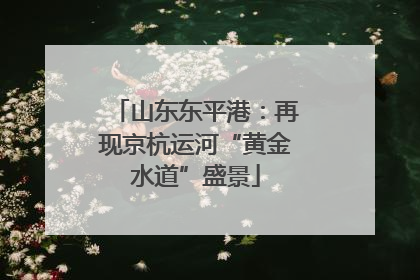 山东东平港：再现京杭运河“黄金水道”盛景