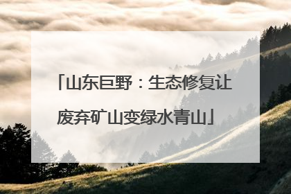 山东巨野：生态修复让废弃矿山变绿水青山