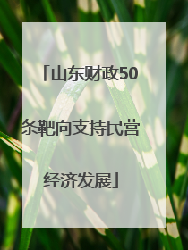 山东财政50条靶向支持民营经济发展