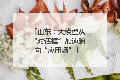 山东：大模型从“对话框”加速跑向“应用场”