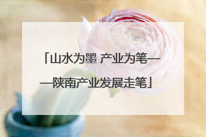 山水为墨 产业为笔——陕南产业发展走笔