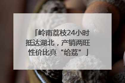 岭南荔枝24小时抵达湖北，产销两旺性价比真“给荔”