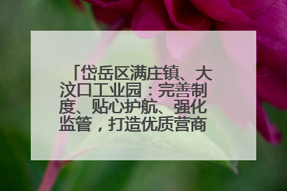 岱岳区满庄镇、大汶口工业园：完善制度、贴心护航、强化监管，打造优质营商“强磁场”
