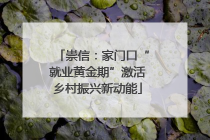 崇信：家门口“就业黄金期”激活乡村振兴新动能