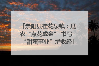崇阳县桂花泉镇：瓜农“点花成金” 书写“甜蜜事业”增收经