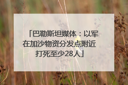 巴勒斯坦媒体：以军在加沙物资分发点附近打死至少28人