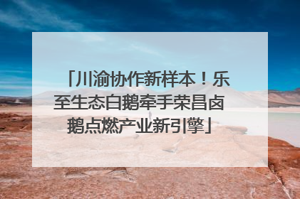 川渝协作新样本！乐至生态白鹅牵手荣昌卤鹅点燃产业新引擎