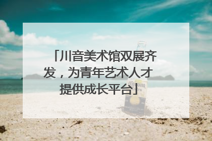 川音美术馆双展齐发，为青年艺术人才提供成长平台