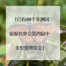 已有48个非洲国家报名参会第四届中非经贸博览会