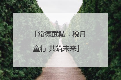 常德武陵：税月童行 共筑未来