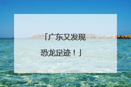 广东又发现恐龙足迹！