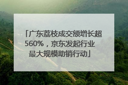 广东荔枝成交额增长超560%，京东发起行业最大规模助销行动