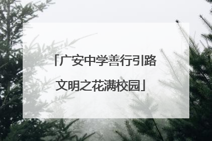 广安中学善行引路 文明之花满校园