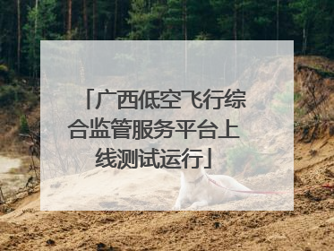 广西低空飞行综合监管服务平台上线测试运行