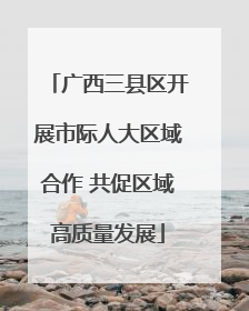 广西三县区开展市际人大区域合作 共促区域高质量发展